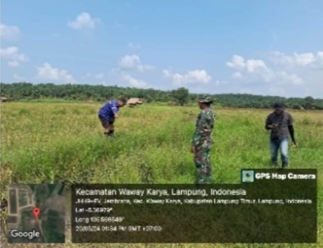 
					Terinspirasi Suratman, Warga  Sidorahayu Optimalkan Pengolahan Lahan Sawah