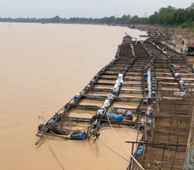 
					Tongkang PT Nanriang Tabrak Keramba Warga, Irwanda: Bentuk Kegagalan Sistemik Dalam Tata Kelola Sumber Daya Alam