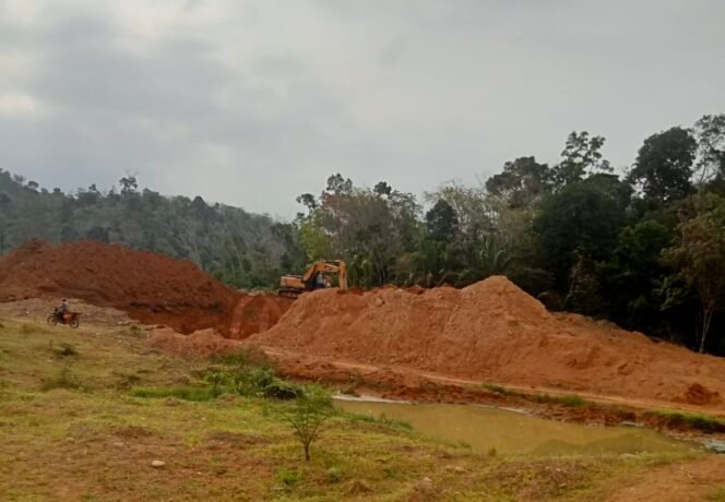 
					HM dan HN Diduga Dalang Tambang Emas Ilegal di Merangin: Aktivitas Terang-Terangan Dipinggir Jalan Usaha Tani Desa