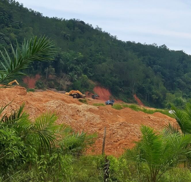 
					PETI di Rantau Alai Kecamatan Limun Semakin Merajalela: Inisial SBHN Oknum Anggota DPRD Sarolangun Terseret