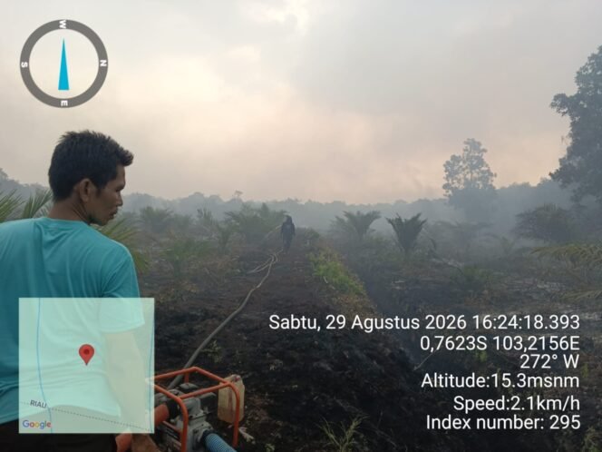 
					Api Belum Padam, Warga Kelelahan: Karhutla 25 Hektare di Tanjabbar Tanpa Dukungan Tim Pemadam