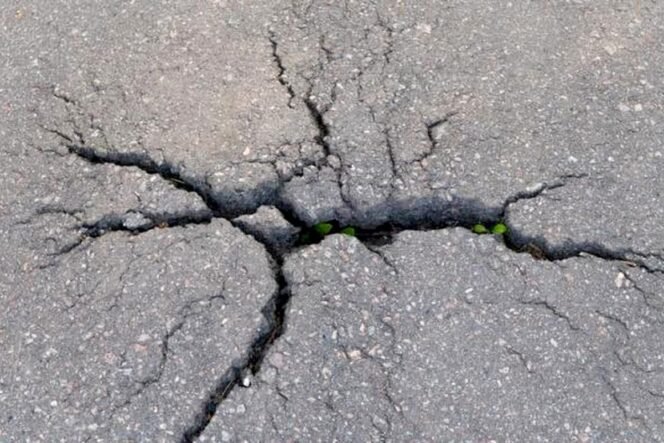 
					Setelah NTT dan Sumut, Giliran Sulteng Diguncang Gempa Berkekuatan M 5,9